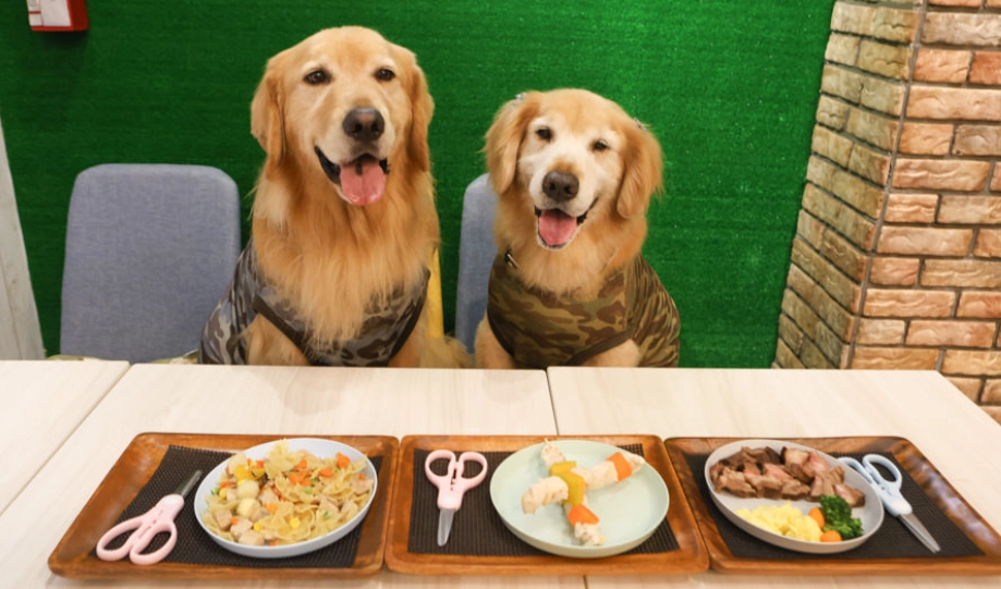 宜蘭寵物友善飯店全攻略：帶毛小孩輕鬆入住推薦清單