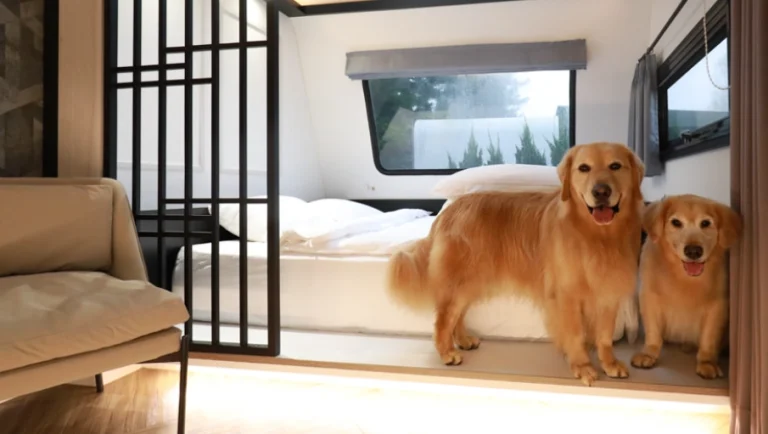 寵物友善露營車